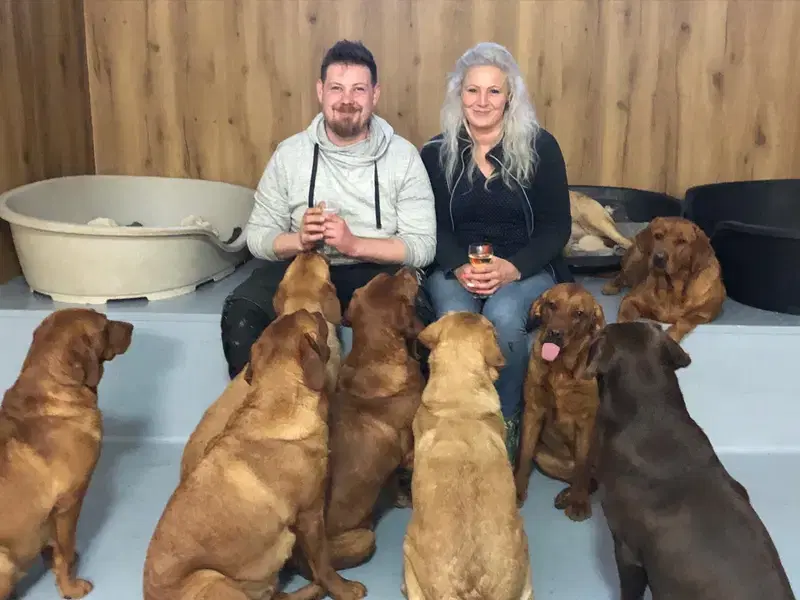 Labrador vom Deiseler Berge - Bild 1