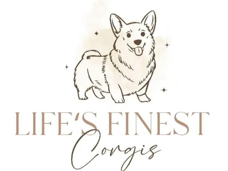 Life’s finest