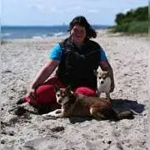 Brightness of aurora