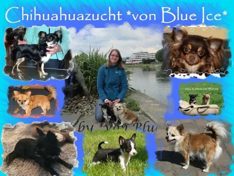 von Blue Ice