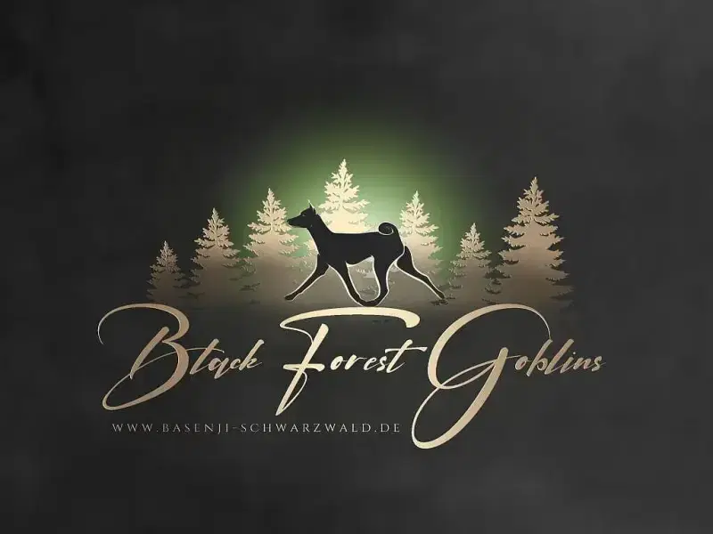 Black Forest goblins