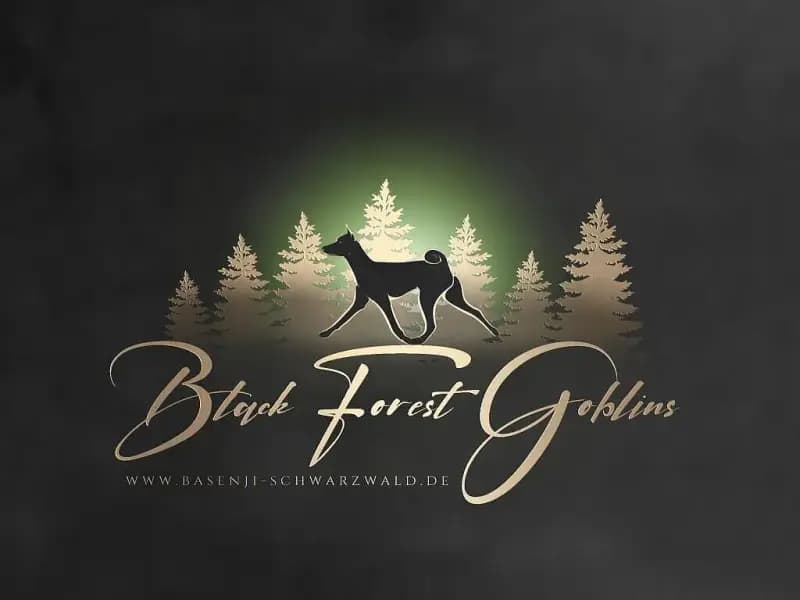 Black Forest goblins