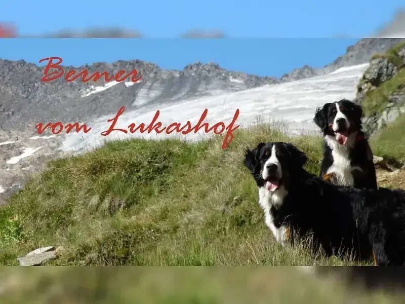 vom Lukashof