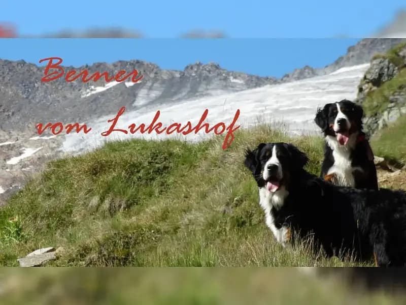 vom Lukashof