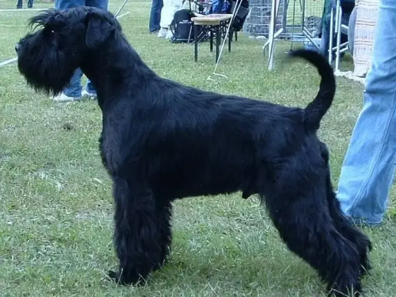 von der Thelersäule