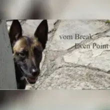 vom Break Even Point