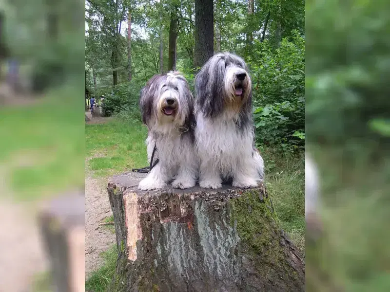 von der Urwaldquelle