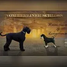 vom Berliner Schloß