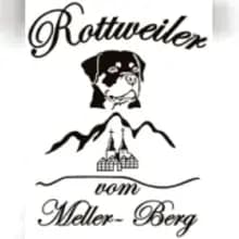 vom Meller Berg