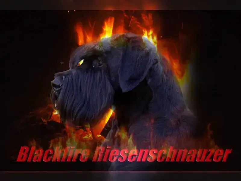 Dafuria’s Imperium