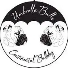 UmbrellaBulls