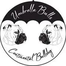 UmbrellaBulls