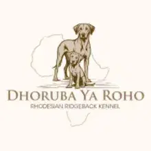 Dhoruba ya roho