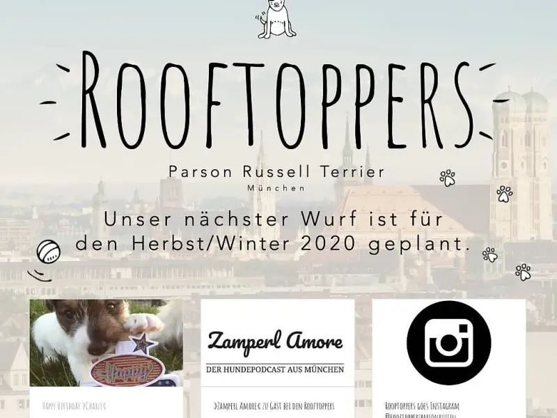 Rooftoppers