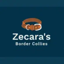 Zecara’s