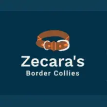 Zecara’s