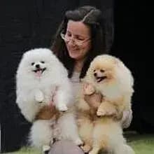 Polar Arabians'