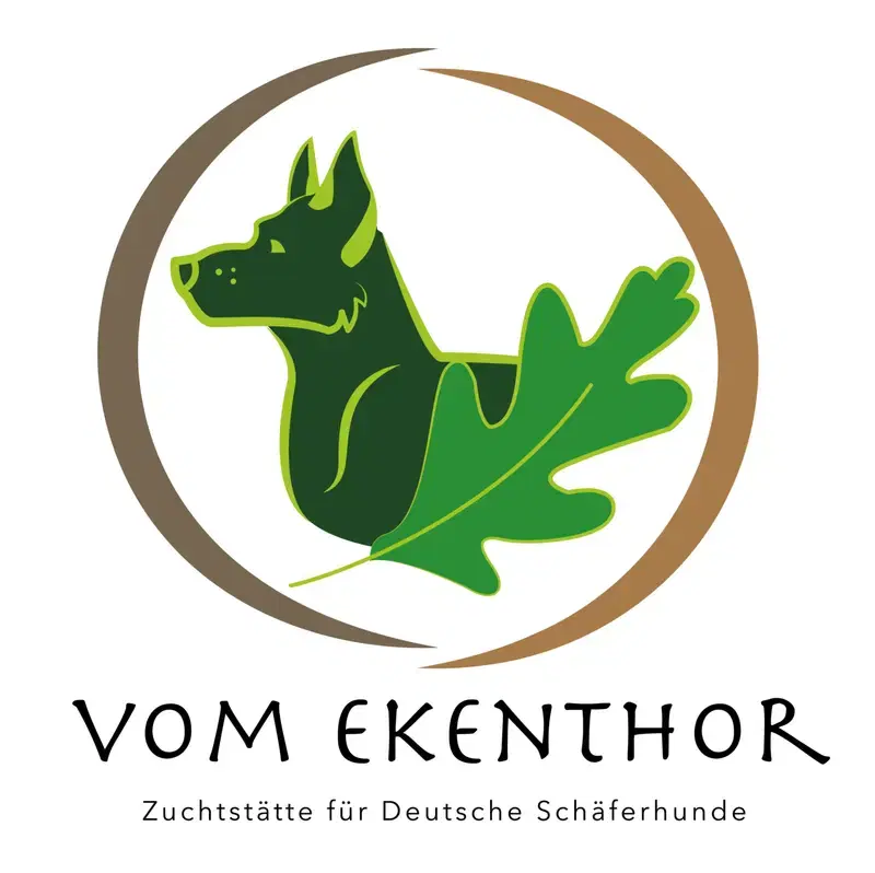 vom Ekenthor  - Bild 1