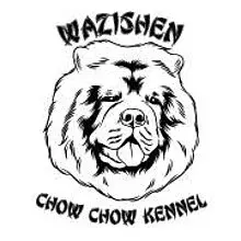 Wazi Shen