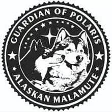 Guardian of Polaris