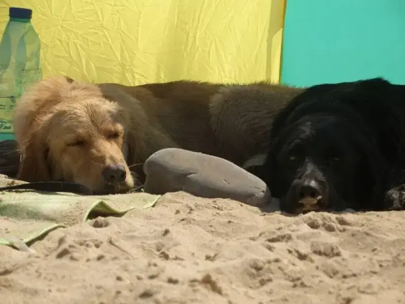 vom Siebenteufelsturm