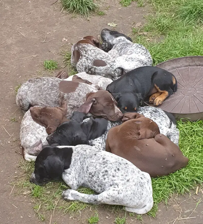 DK vom Näpfchenstein  - Bild 1