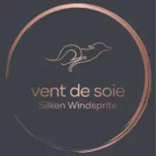 du Vent de Soie