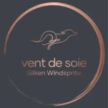 du Vent de Soie