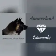 Ammerland Diamonds