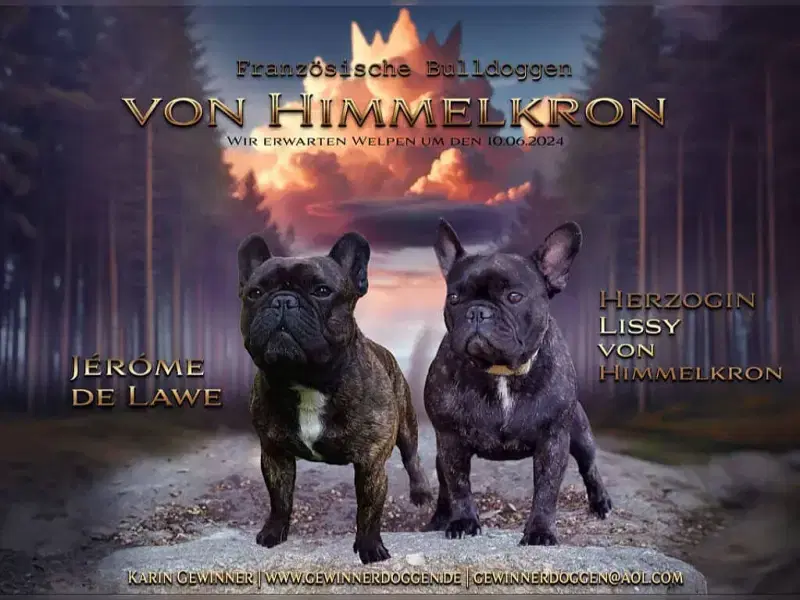 von Himmelkron