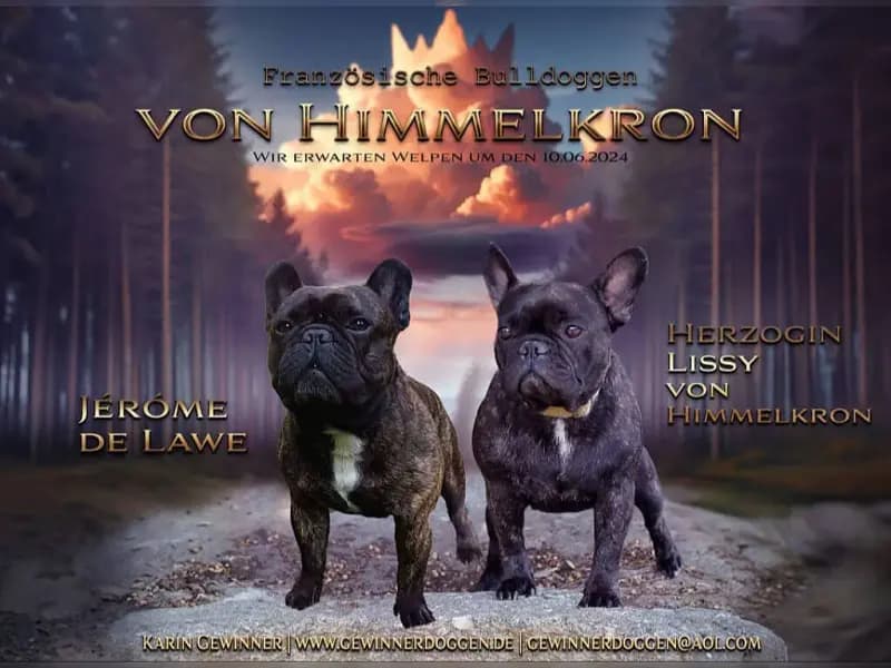 von Himmelkron
