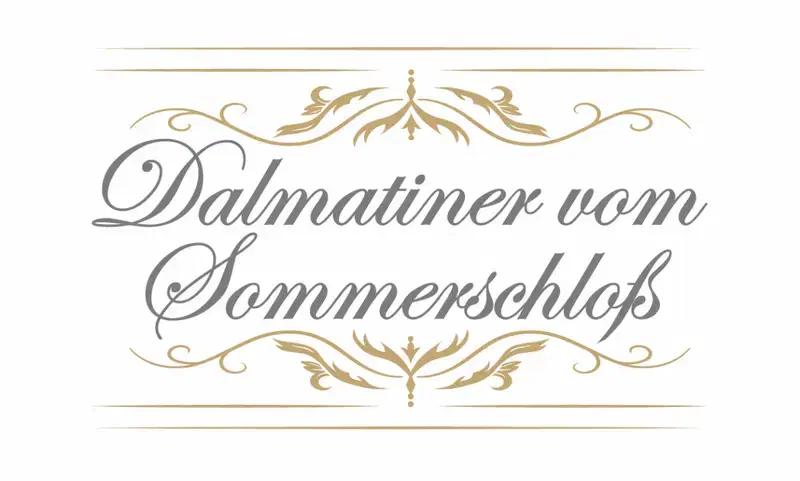Dalmatiner vom Sommerschloß - Bild 1