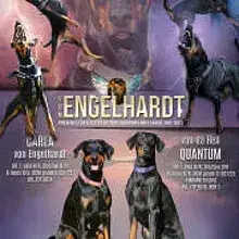 von Engelhardt