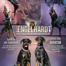 von Engelhardt