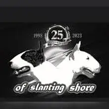 of slanting shore