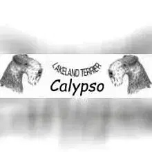 Calypso