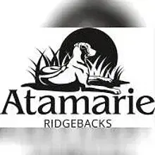 Atamarie