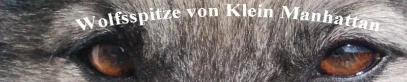 Wolfsspitze von Klein Manhattan - Bild 1