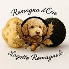 Romagna d'Oro