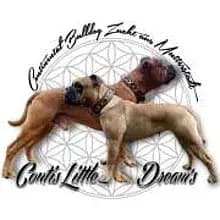 Contis Little Dream's