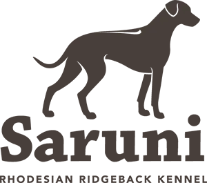 Saruni - Bild 1
