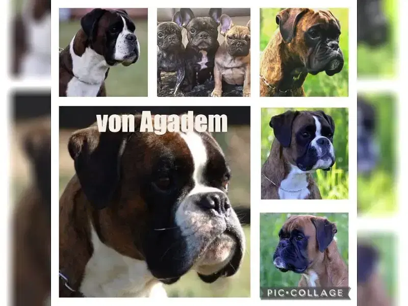 von Agadem