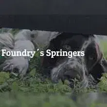 Foundry’s