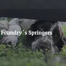 Foundry’s