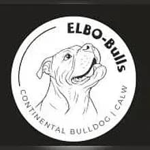Elbo-Bulls