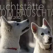 vom Rauschtal