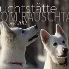 vom Rauschtal