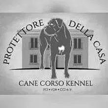 Protettore della casa