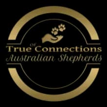 of True Connections