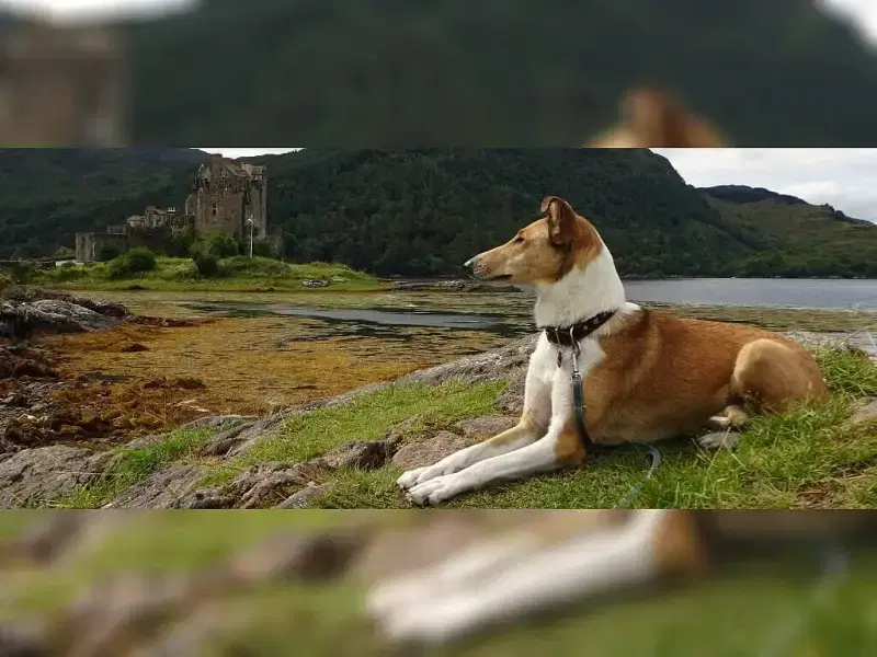 Spirit von Gut Breide